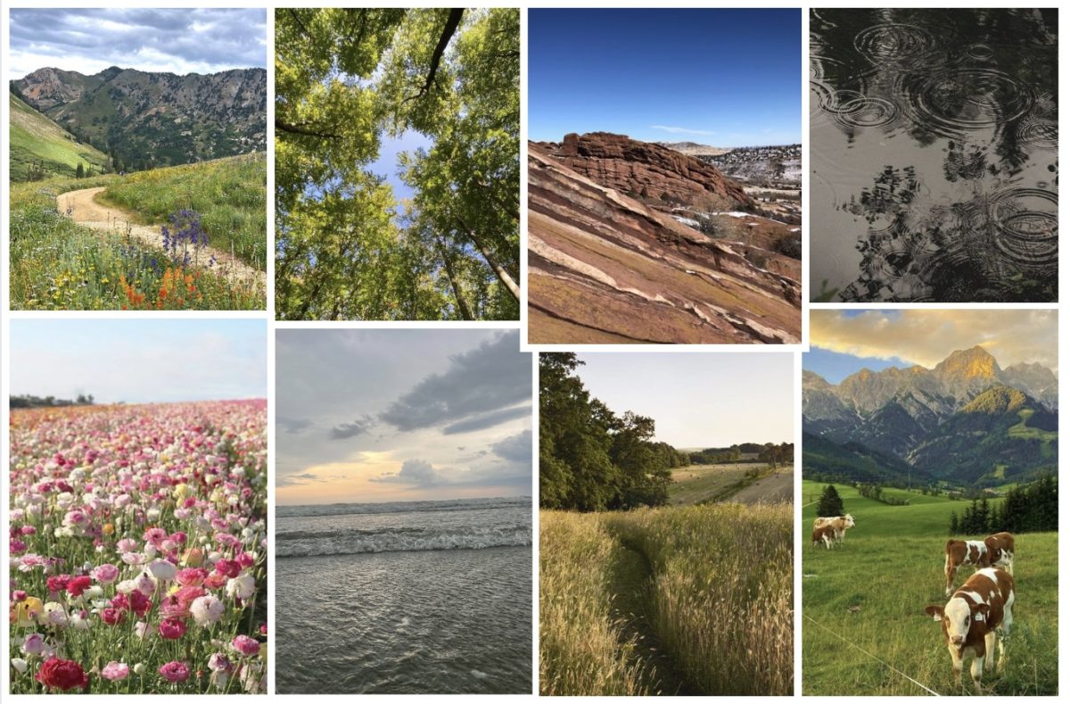 A+collage+of+photos+showing+the+beauty+of+nature.